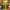Louis Vuitton Luxury Casual Duffel Bags & Holdall Wanita Gold Brown