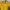 Ellesse Indie Casual Sweatshirt Pria Yellow