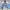 C.P. Company Gorpcore Track jacket Pria gray photo 2