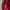 Nike Streetwear Sportswear Bag Pria red photo 6
