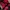 Nike Streetwear Sportswear Bag Pria red photo 3