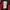 Nike Streetwear Sportswear Bag Pria red photo 5