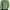 Vintage Casual Polo shirt Pria green photo 1