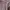 Vintage Casual Midi dress Wanita pink photo 4