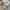 thisisneverthat Streetwear Casual Hoody Pria gray photo 6