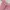 Bershka Coquette Casual Crop top Wanita white pink photo 2