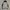 K-Way Outerwear Kids navy photo 3