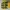 Colorbox Minimalist Midi dress Wanita yellow black photo 2
