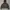Prada Luxury Sportswear Windbreaker Wanita black photo 1