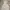 Fairy Coquette Summer dress Wanita white tan photo 1
