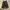 DogTown Vintage Y2K Jeans Pria black photo 1