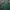 Polo Ralph Lauren Vintage Polo Shirt Pria Green