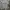 Streetwear Sportswear Jersey Pria gray photo 1