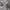 Streetwear Sportswear Jersey Pria gray photo 2