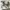 Nike Air Jordan Streetwear Skater Sneakers Pria blue photo 2