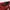 Coquette Casual Bodycon dress Wanita red photo 2