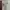 Vintage Fur coat Wanita white tan photo 1