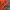 Streetwear Sportswear Jersey Pria orange photo 4