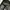 The North Face Streetwear Sportswear Bag Pria tan brown photo 6