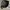 The North Face Streetwear Sportswear Bag Pria tan brown photo 3