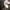 The North Face Streetwear Sportswear Bag Pria tan brown photo 4