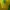 Nike Streetwear Y2K Jersey Wanita green yellow photo 2