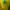 Nike Streetwear Y2K Jersey Wanita Green Yellow