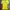 Nike Streetwear Y2K Jersey Wanita green yellow photo 1