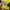 Nike Streetwear Y2K Jersey Wanita green yellow photo 3