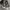 Converse Sportswear Casual Sneakers Wanita white black photo 4
