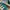 Adidas Casual Sneakers Wanita green white photo 2