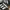 Adidas Casual Sneakers Pria white black photo 2
