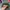 Vintage Y2K Hat Pria green brown photo 5