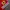 Streetwear Sportswear Jersey Pria red photo 4
