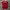 Streetwear Sportswear Jersey Pria Red