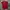 Streetwear Sportswear Jersey Pria red photo 1