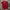 Streetwear Sportswear Jersey Pria Red