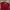 Streetwear Sportswear Jersey Pria red photo 3