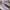 Salomon Sportswear Casual Sneakers Wanita purple white photo 2