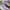 Salomon Sportswear Casual Sneakers Wanita Purple White
