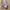 Salomon Sportswear Casual Sneakers Wanita purple white photo 5