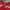 Streetwear Sportswear Jersey Pria red photo 4