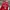 Streetwear Sportswear Jersey Pria red photo 3