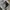 New Balance Streetwear Sportswear Bag Pria multicolor gray photo 4