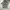 Nudie Streetwear Biker T-shirt Pria gray photo 1