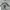 Nudie Streetwear Biker T-shirt Pria gray photo 2