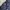 MLB Biker Casual Jersey Pria navy photo 6