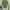 Minimalist Cardigan Wanita Green