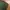 Minimalist Formal shirt Pria green photo 5