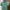 Polo Ralph Lauren Streetwear Casual Polo Shirt Pria Green